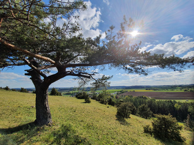 Kulinarik-Touren