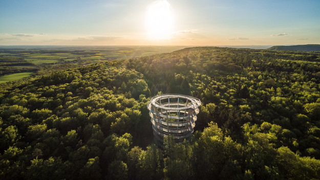 Baumwipfelpfad Steigerwald