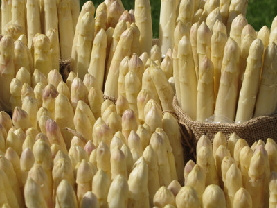 Spargel aus der Region