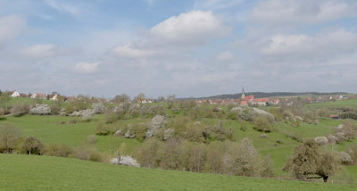 Das Hanami der Metropolregion Nürnberg